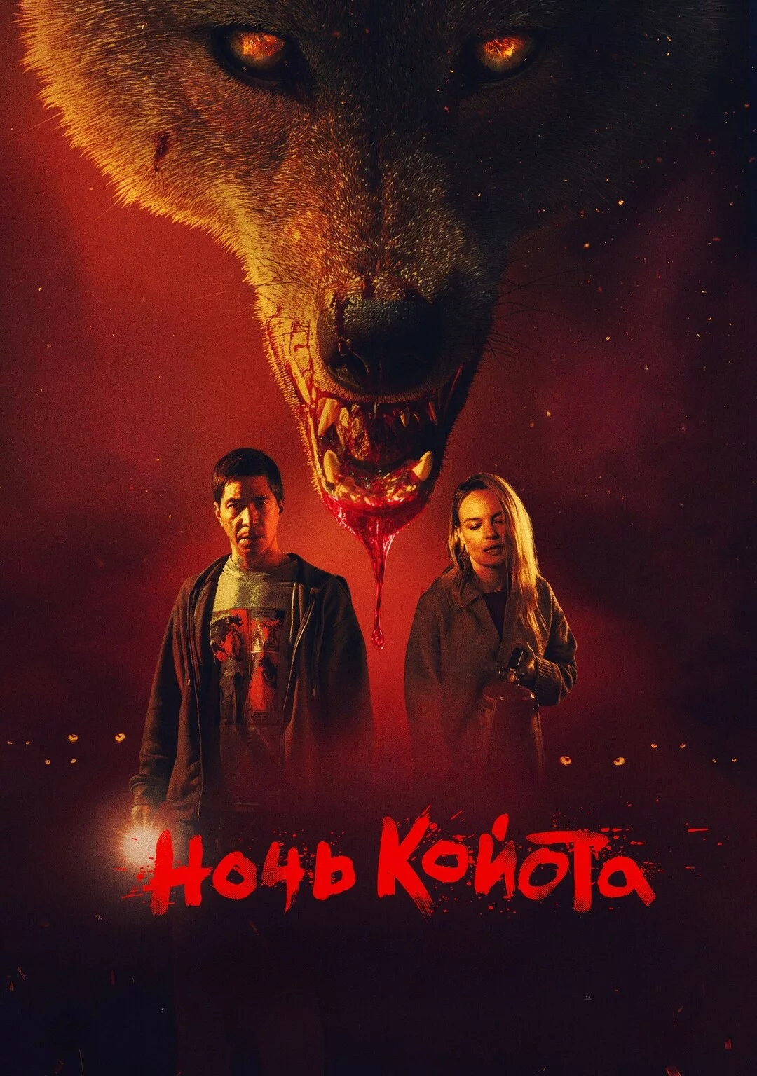 Ночь койота